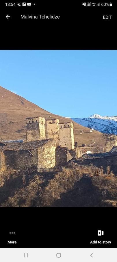 Ushguli Hotel Riho エクステリア 写真
